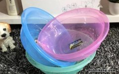 塑料盆水垢清除妙招有什么作用 塑料盆水垢如何快速去除