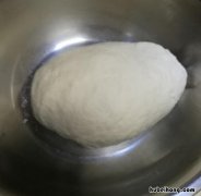圆白菜素包子的做法大全窍门 圆白菜素包子的做法大全