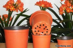 用塑料花盆养花好吗 塑料花盆适合养花吗