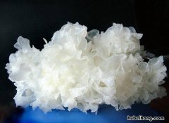 白银耳怎么炖 鲜银耳炖多久