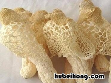 竹荪如何泡洗 鲜竹荪需要泡发吗