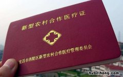 医保有大病保险吗 今年农村医疗保险交多少钱