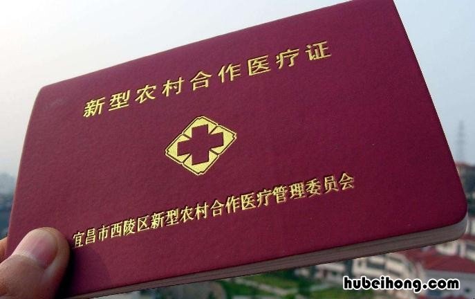 医保有大病保险吗 今年农村医疗保险交多少钱