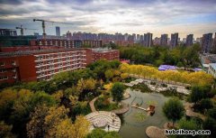 在大学第一年 大学第一年想要什么