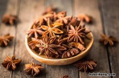 大料的名称有哪些 大料还有什么名字好听