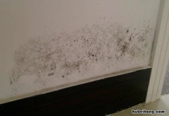 墙体潮湿怎么办呢视频 墙体潮湿怎么办呢图片