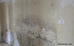 墙面返潮如何处理掉 室内墙面返潮有什么解决的好方法