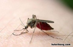 夏天驱蚊有什么方法 夏天驱赶蚊子用什么最好的方法