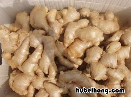 生姜夏天怎么保存最好 生姜夏天怎么保存方法