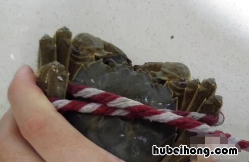 大闸蟹怎么绑法 没有绑绳子的大闸蟹的做法