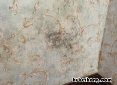 墙面反潮是什么原因 墙面反潮是什么原因造成的