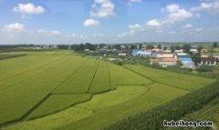 耕地为旱地的是哪个平原 耕地为旱地的是哪个平原地区
