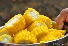 水果玉米可以在冰箱保存多少天 水果玉米能保存多久