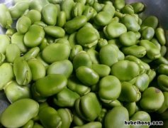 胡豆与蚕豆的区别是什么