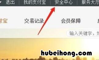 支付宝登录记录在哪里找得到 支付宝怎么查找登录记录
