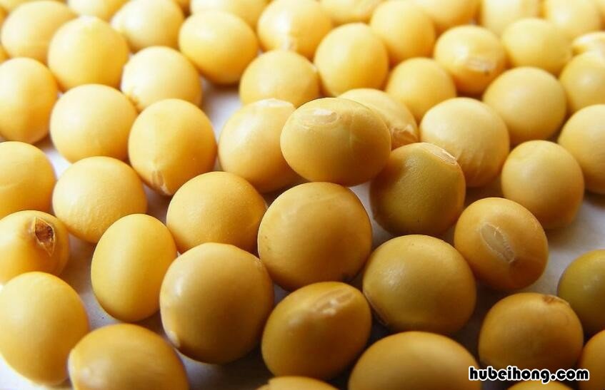 如何保存黄豆青子 如何保存黄豆粉