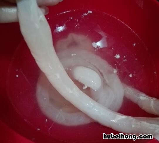 肠衣是怎样做成的 自己怎么制作肠衣