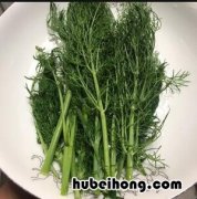 蚕豆茴香粑粑怎么做好吃 蚕豆茴香粑粑怎么做才好吃