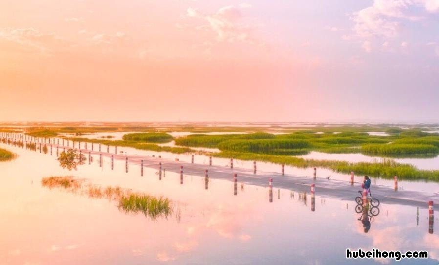 鄱阳湖的风景美在哪里作文 鄱阳湖的美丽风景