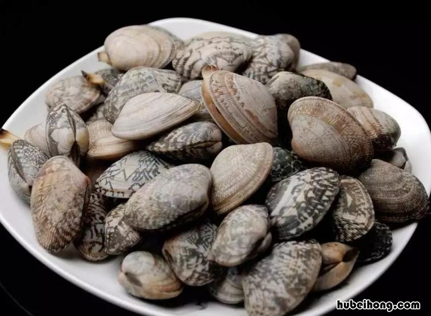花蛤怎么处理才干净
