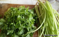 芹菜包饺子要绰水吗 芹菜包饺子要挤水吗