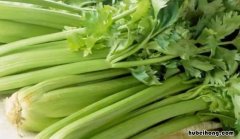 怎样腌芹菜咸菜 芹菜腌咸菜怎么做