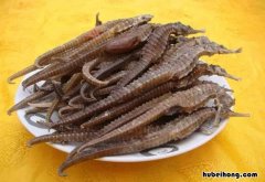 鹿茸海马泡酒配方大全 海马可以和鹿茸泡酒吗
