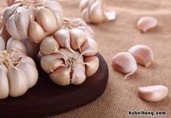 如何去除口中的大蒜味小妙招 怎样才能去除口里的大蒜味