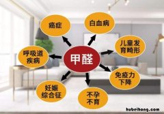 处理室内甲醛 去除室内的甲醛
