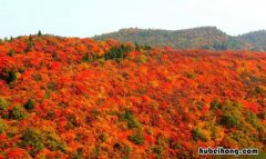 西安香山寺门票多少 陕西香山风景区门票