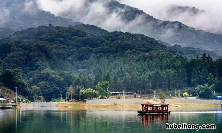 热带雨林气候有什么特点和风向 热带雨林气候的气候特征是啥