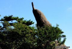 黄山的奇石有哪些 黄山的奇石有哪些二年级