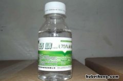 70%酒精可以消毒吗 95℃的酒精可以消毒吗