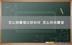 怎么挑葡萄比较好吃 怎么样挑葡萄