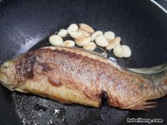 大蒜闷黄鱼 蒜苗烧黄鱼