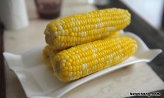 玉米没熟透可以吃吗 玉米没有熟透能吃吗