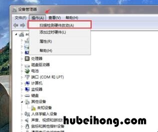电脑无法连接网络怎么解决win11系统 电脑无法连接网络怎么解决win11问题