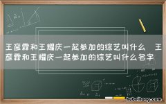 王彦霖和王耀庆一起参加的综艺叫什么名字 王彦霖和王耀庆一起参加的综艺叫什么