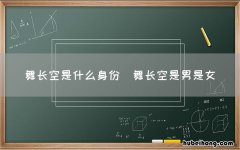 舞长空是男是女 舞长空是什么身份