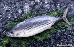 冷冻鱼怎么快递 活鱼寄快递可以保鲜多久