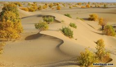 中国最大的盆地是哪一个 中国最大的盆地是哪里?