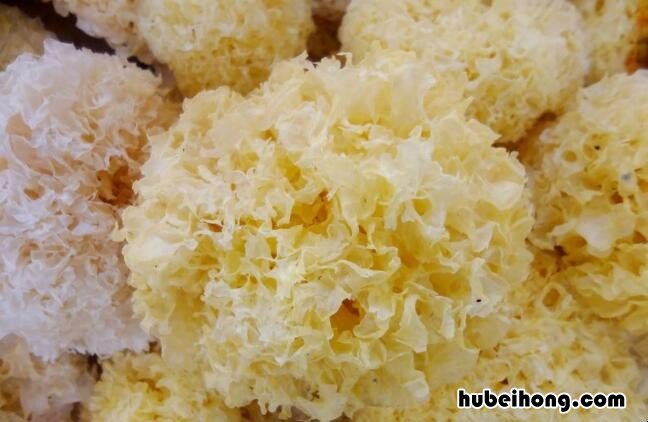 如何挑选优质银耳羹 怎样挑选优质银耳