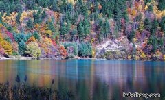 九寨沟在四川哪里 九寨沟在四川的哪个地方?