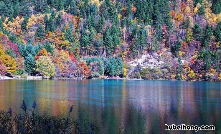 九寨沟在四川哪里 九寨沟在四川的哪个地方?