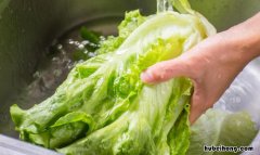 生菜特别苦是什么原因 生菜有点苦是怎么回事