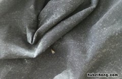 怎样去除衣服上毛毛的味道小妙招 怎样去除衣服上毛毛的味道妙招