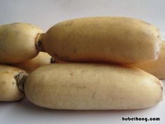 怎么挑选莲藕 怎么挑选莲藕?
