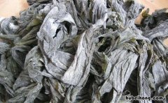 怎样选干海带 干海带的挑选方法