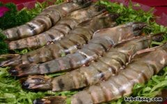 如何挑选新鲜的海虾仁呢 如何挑选新鲜的海虾仁视频