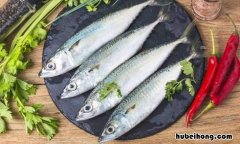 什么鱼新鲜又咸的 鱼什么样的新鲜